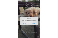 Yahoo! JAPANアプリに気象警報と避難情報をプッシュ通知する緊急情報通知機能を追加(ヤフー) 画像