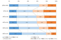 災害に備え、常備している防災グッズ、懐中電灯が8割を超える(ドゥ・ハウス) 画像