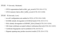 「OpenSSL」に新たな複数の脆弱性、深刻度は「中」レベル（JVN） 画像