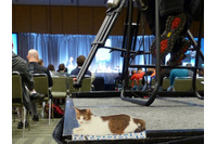 りく君のサンフランシスコ紀行（４）生クレブスがいたよ 画像