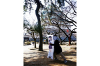 ここが変だよ日本のセキュリティ 第12回「サイバー保険がやってきた！」 画像