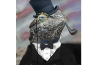 「Lizard Squad」配布のDDoS攻撃ツールを使用したとして10代の少年6人を逮捕(NCA) 画像