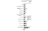女子小学生のスマートフォン使用率が初めてパソコンを超える、用途はゲームが8割に(KADOKAWA アスキー・メディアワークス、角川アスキー総合研究所) 画像