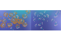 ネットワークを「迷宮化」してサイバー攻撃を防ぐソリューション（アズジェント） 画像