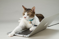 Scan 名誉編集長 りく君の世界セキュリティお土産大放出キャンペーン 画像