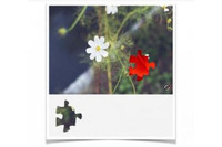 パズルやアバターを活用したボット対策ツールを提供開始（セキュアイノベーション） 画像