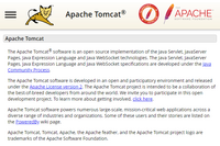 Apache Tomcat の Windows 版において CGI のパラメータ処理の不備により遠隔から任意のコードが実行可能となる脆弱性（Scan Tech Report） 画像