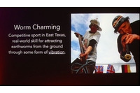 米南部文化「ミミズ集め競争」を応用、マルウェア視点の研究成果 画像