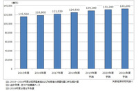 2018年度国内IT市場規模12兆4,930億円、今後も堅調維持(矢野経済研究所) 画像