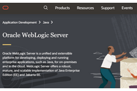 Oracle WebLogic サーバにおける任意の Java コードが注入可能となる脆弱性（Scan Tech Report） 画像