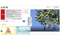 薬物乱用「断る一言」募集サイト、個人情報が閲覧可能に 画像