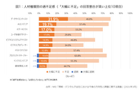 「デジタル子会社」に分類される企業は47社中5社と僅か、不足する職種や能力を補う方法を提示 画像