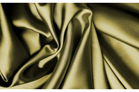 ワーム（蚕）がセキュリティ向上のため働く時代到来か、韓国科学者論文 画像