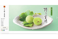 和菓子販売「宗家源吉兆庵オンラインショップ」に不正アクセス、14,127名のカード情報が漏えい 画像