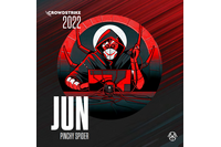CrowdStrike Adversary Calender 2022 年 6 月「ピンチー・スパイダー」 画像