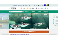 「存在しなかった」メールが外付 HDD で発見される 画像