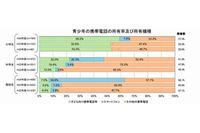 インターネット利用の高校生63.1％がトラブルを経験(内閣府) 画像