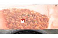 613名分のメールアドレスがCSVファイル形式でダウンロードされた形跡、メールマガジン配信システムに不正アクセス 画像