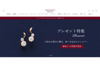 不正アクセス 盗まれたのは公式サイトのドメイン 画像