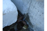 汚染水約150リットルが海へ（東京電力） 画像