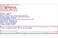不正プログラムの通信を隠蔽する手法「偽装ヘッダ」を確認（トレンドマイクロ） 画像