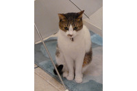 ScanNetSecurity創刊15周年記念ノベルティ製作レポート 画像