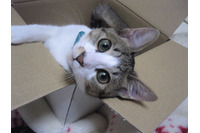 ScanNetSecurity創刊15周年記念ノベルティ製作レポート その2 画像