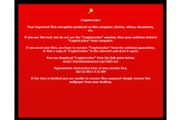 既知の脅威を改良したと考えられる2つのマルウェアを確認（トレンドマイクロ） 画像