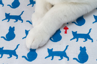 ScanNetSecurity創刊15周年記念ノベルティ製作レポート その8 「てぬぐいを使ってみたよ」 画像