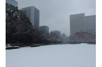 暴風雪の影響で中部・関東・東北の多数の地域で通信障害が発生 画像