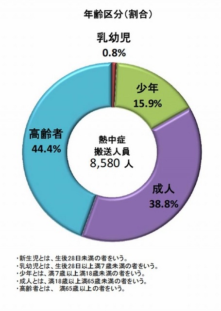 熱中症による救急搬送状況（年齢区分）
