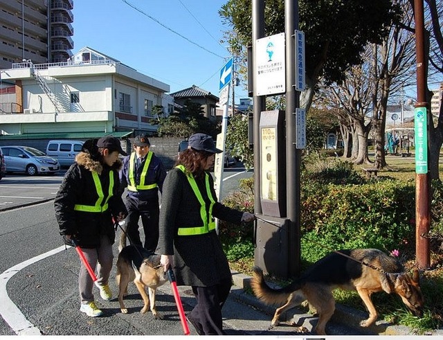 2014年末にはスーパー防犯灯を活用した浜松わんわんパトロールも同NPO法人によって実施された（画像は同NPO法人のwebより）。