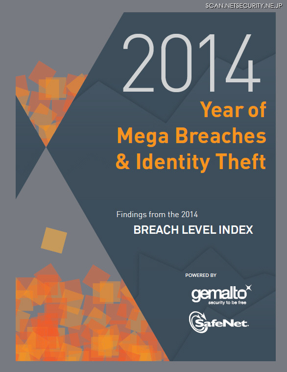 「SafeNet Breach Level Index（BLI）」