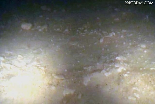 1層目被覆後の海底の様子（2月29日） 