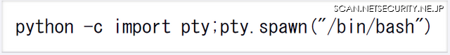 UNC4841がアクセスした後にPythonを使ってbashシェルを起動するコマンドを実行することも確認しています