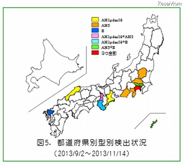 都道府県別型別検出状況（2013年9月2日～11月14日）