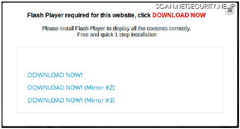 改ざんされたサイトの前面に表示される偽のFlash Playerのインストール画面