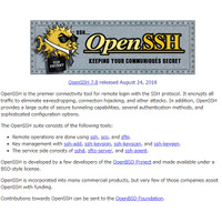 OpenSSH サーバにおいて特定の接続要求に対するエラー応答を確認することにより存在するユーザの列挙が可能となる脆弱性（Scan Tech Report） 画像