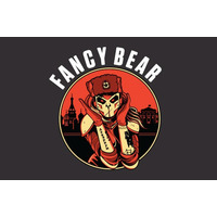 CrowdStrike Blog：FANCY BEAR（ APT28 ）、ファンシーベアとは何者か？ 画像