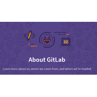 GitLabがユーザーのソースコードを調査、予想どおり見つかった脆弱性の傾向と内訳とは 画像