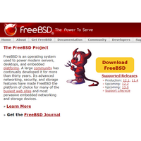 FreeBSD の IPv6 ソケットにおける競合状態と Use-After-Free の脆弱性（Scan Tech Report） 画像