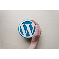 WordPress Social Loginプラグインに脆弱性 画像