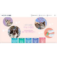 エイチ・エス損害保険に不正アクセス、不適切な内容の「お知らせ」が公開 画像