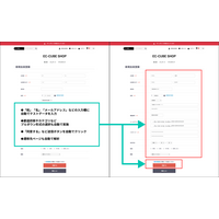 Webアプリケーション脆弱性診断ツール「GMOサイバー攻撃 ネットde診断 for Webアプリ」に AI エージェントによる「フォーム自動入力・送信機能」を追加 画像