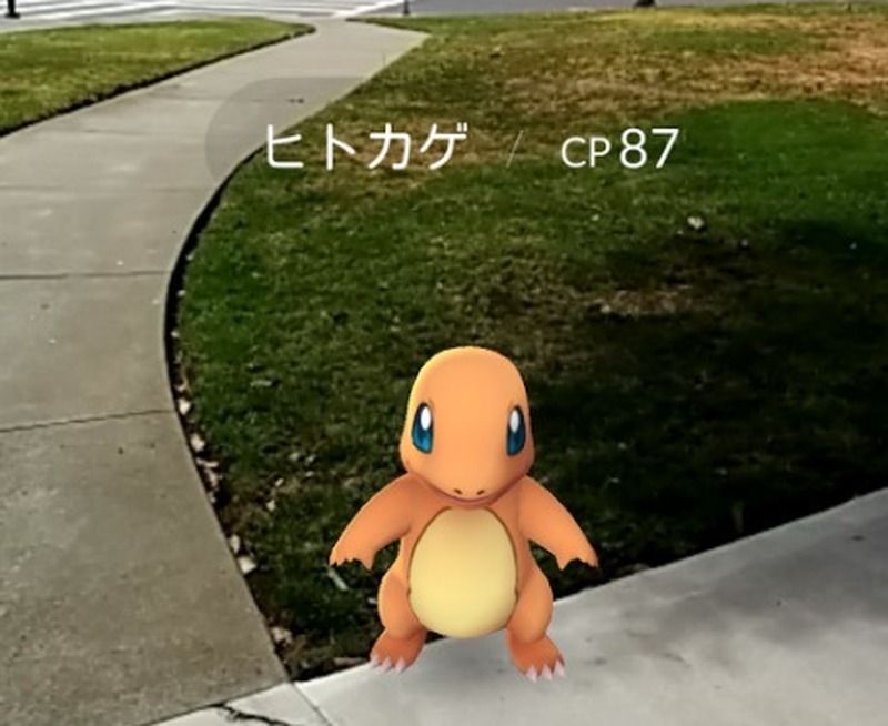 豪州警察が『Pokemon GO』ユーザーに警告―「モンスターボールのために進入しないで」