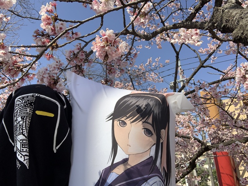 桜の季節がやってきました！私達2次元カップルは永遠に高校生のままです！