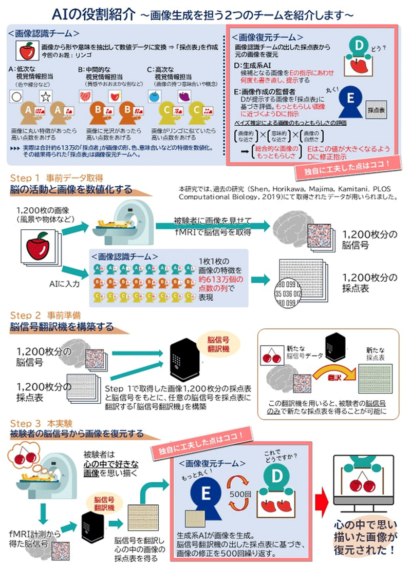 本研究成果の概略図