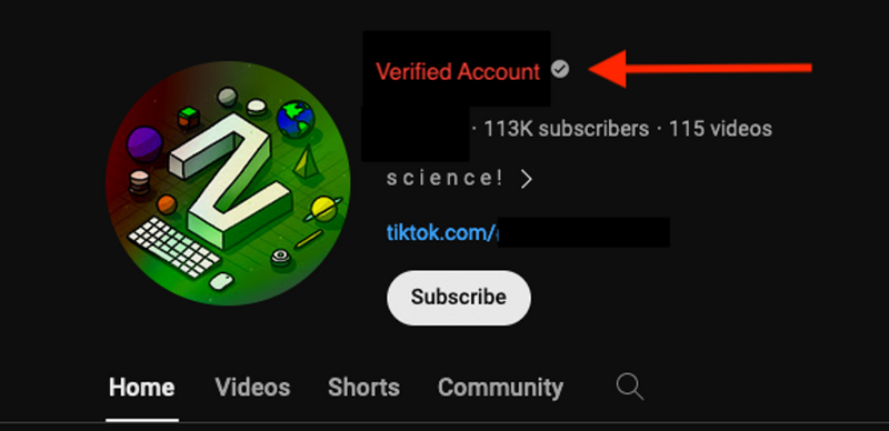 多くのフォロワーを持つ認証済みのYouTubeアカウントの例