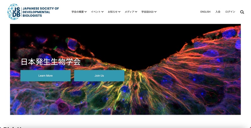 トップページ