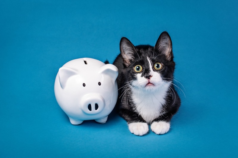 (イメージ画像)